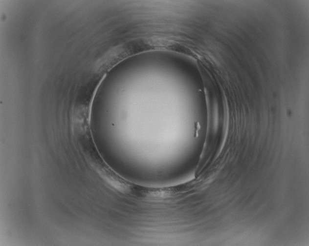 X0000068770237200604281246