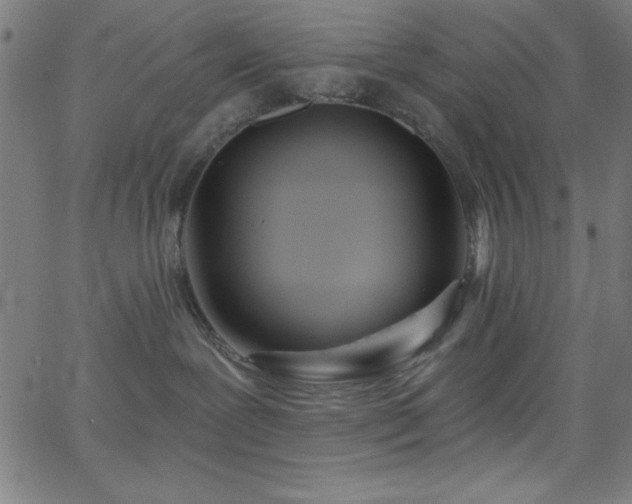 X0000068770239200604281246