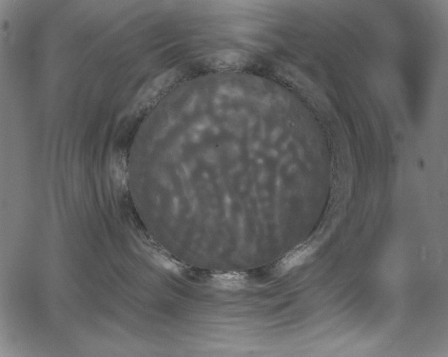 X0000068770240200604281246