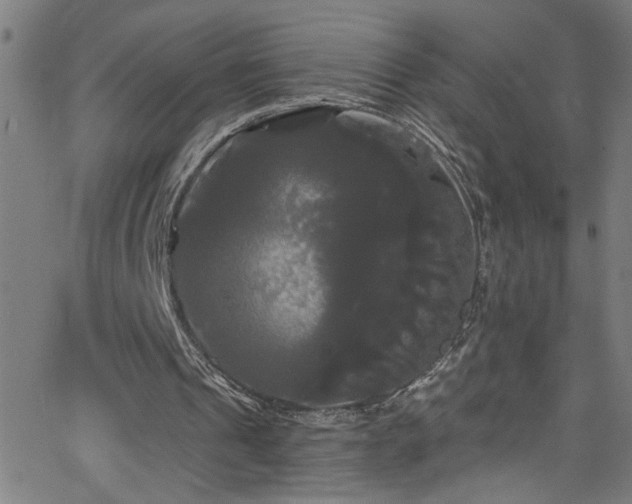 X0000068770241200604281245