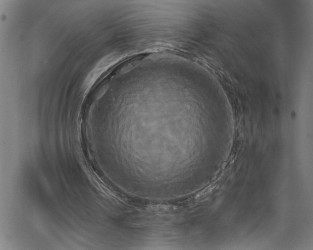 X0000068770242200604281245