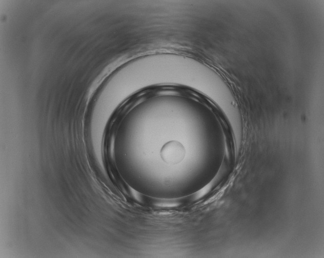 X0000068770244200604281245