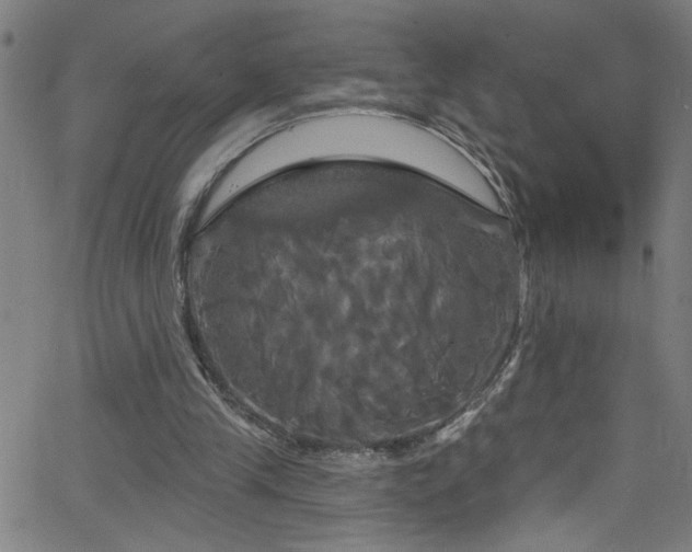 X0000068770245200604281245