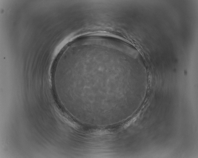 X0000068770246200604281245