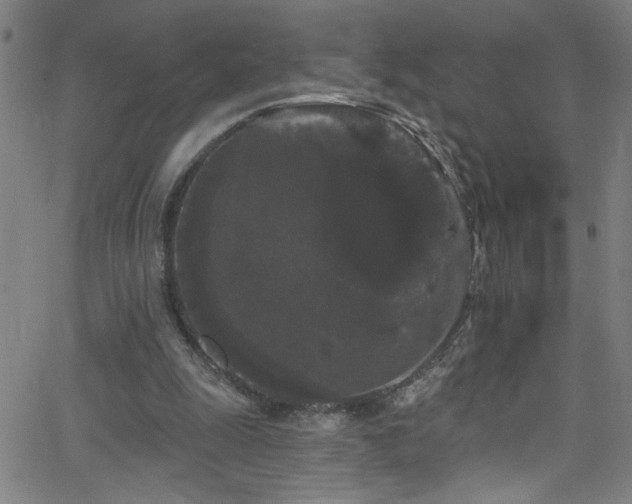 X0000068770247200604281245