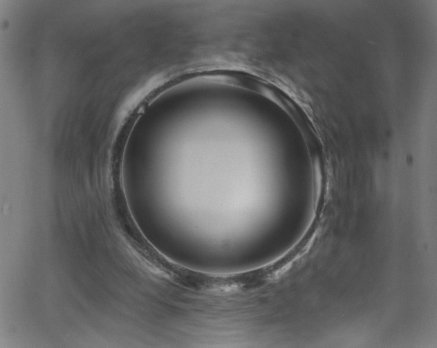 X0000068770248200604281245