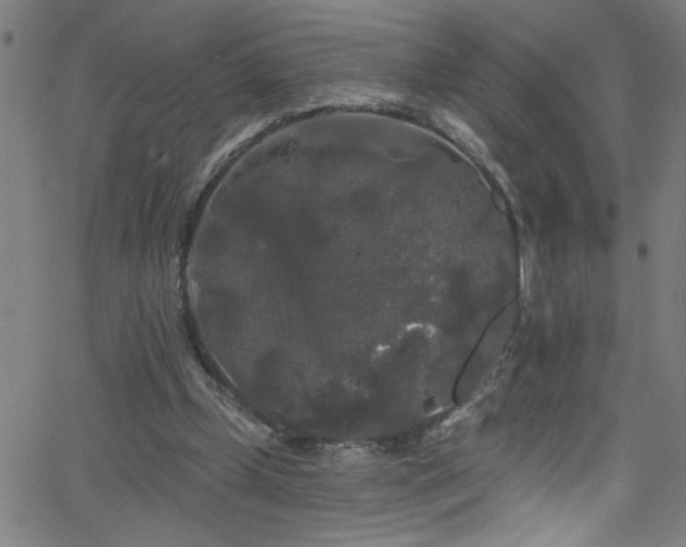 X0000068770249200604281245