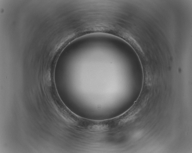 X0000068770251200604281245