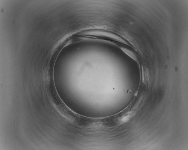 X0000068770252200604281245