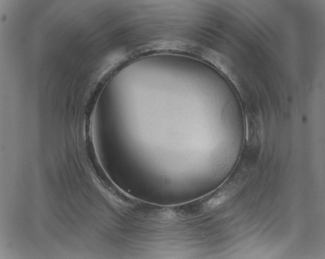 X0000068770253200604281245