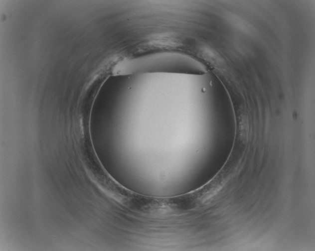 X0000068770254200604281245