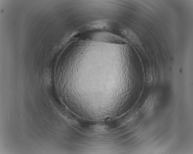 X0000068770255200604281246