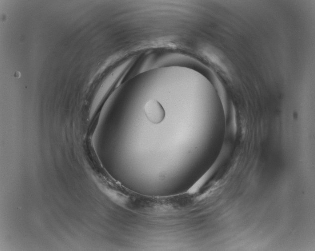 X0000068770256200604281246