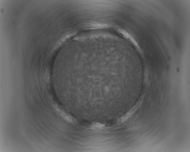 X0000068770257200604281246