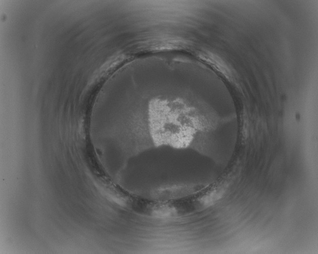 X0000068770258200604281246