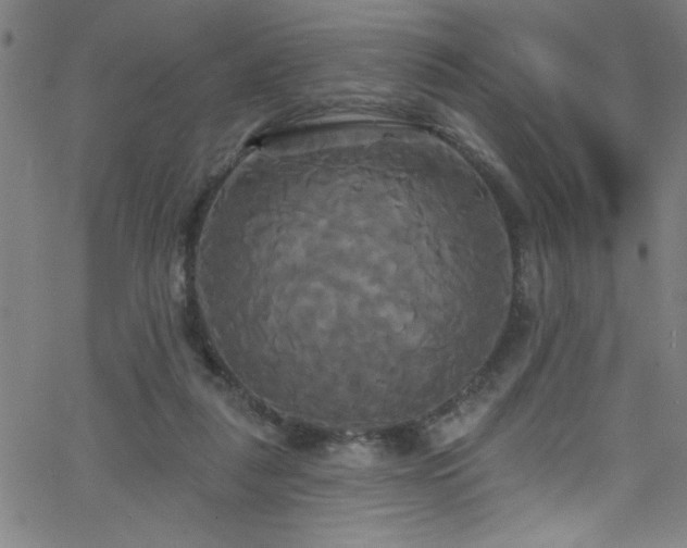 X0000068770259200604281246