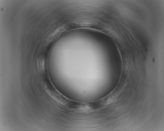 X0000068770262200604281246