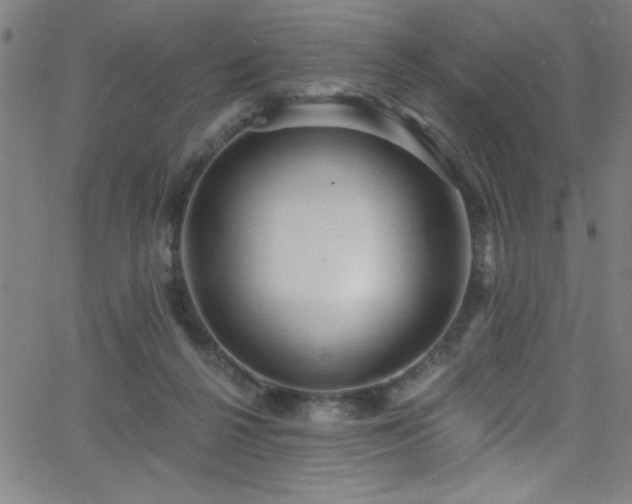 X0000068770264200604281246