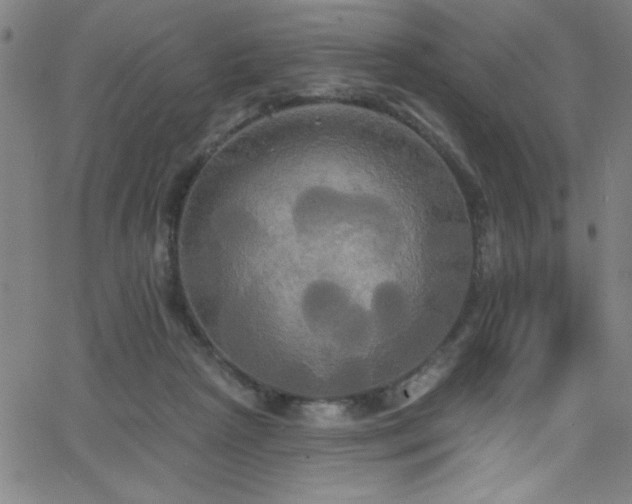 X0000068770265200604281246