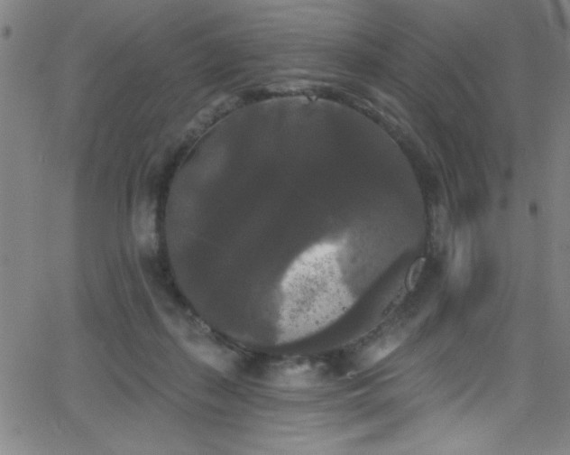 X0000068770267200604281246