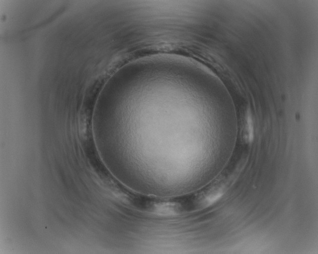 X0000068770268200604281246