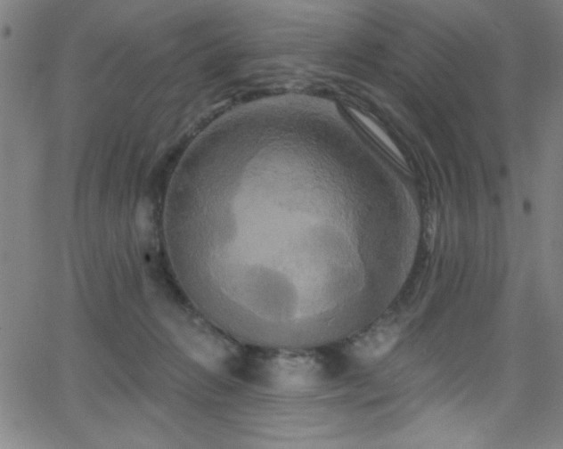 X0000068770270200604281246