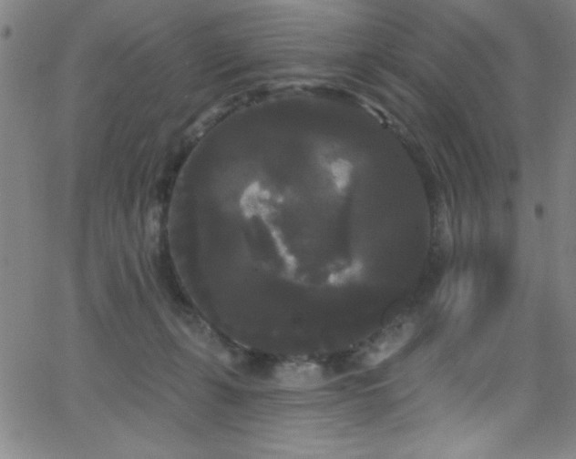 X0000068770271200604281246