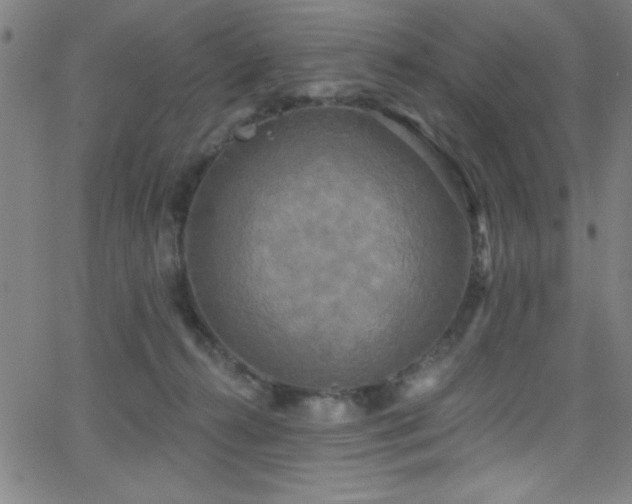 X0000068770272200604281246