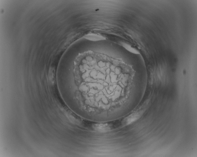 X0000068770273200604281246