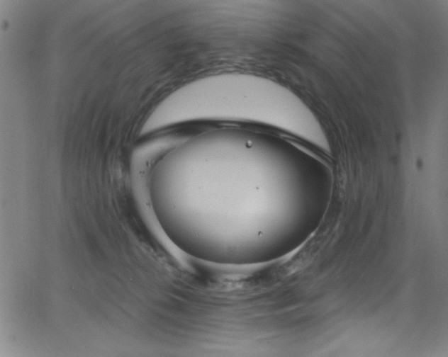 X0000068770276200604281246