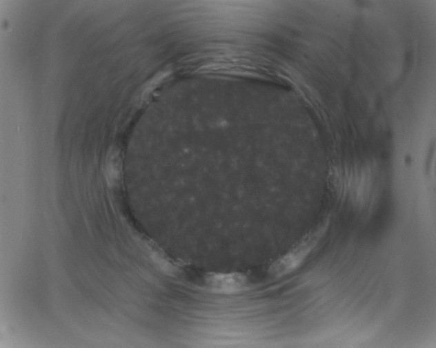 X0000068770277200604281246