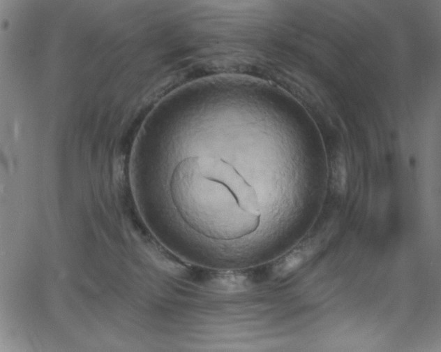 X0000068770278200604281246