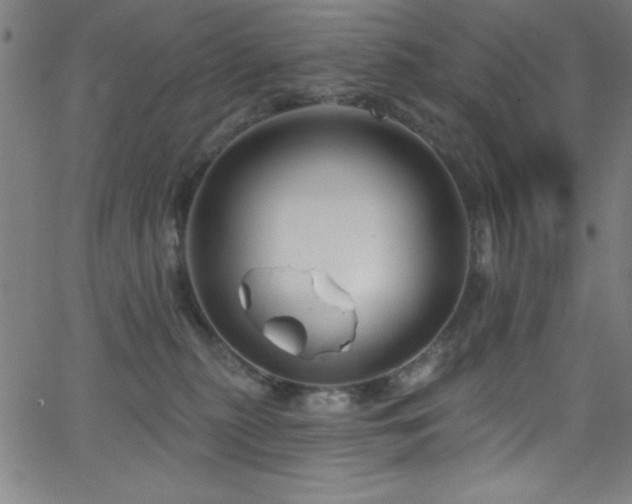 X0000068770279200604281246