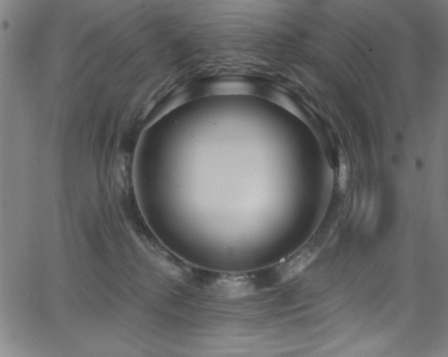 X0000068770280200604281246