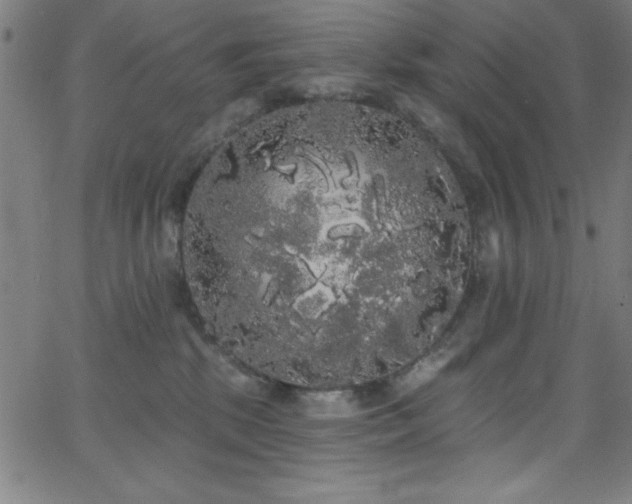 X0000068770281200604281246