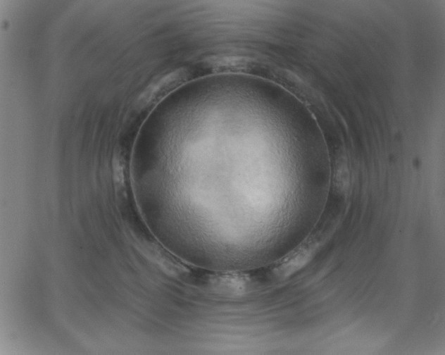 X0000068770282200604281246