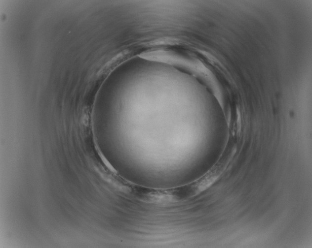 X0000068770284200604281246