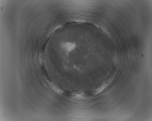 X0000068770285200604281246