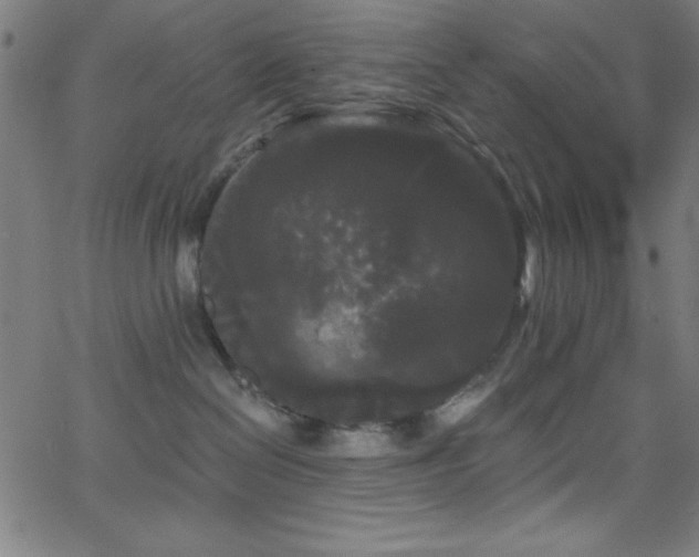 X0000068770286200604281246