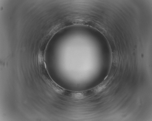 X0000068770287200604281246