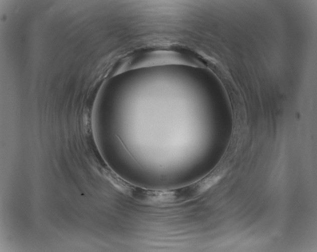 X0000068770288200604281246