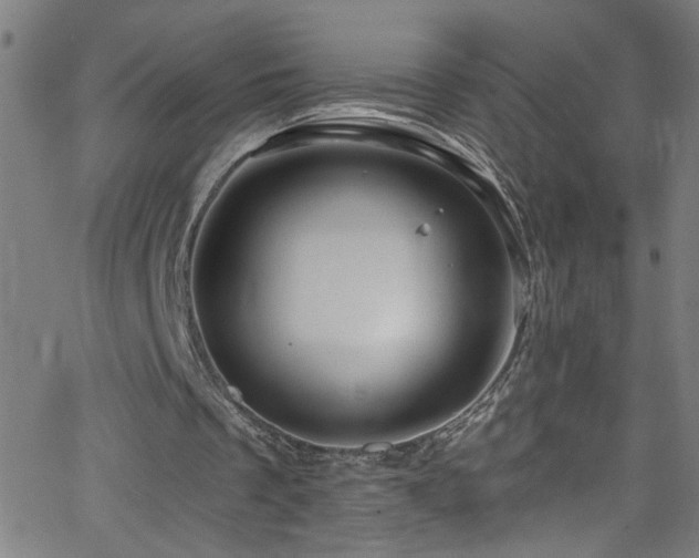 X0000068770289200604281245