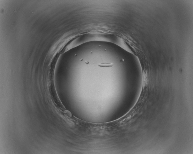 X0000068770291200604281245