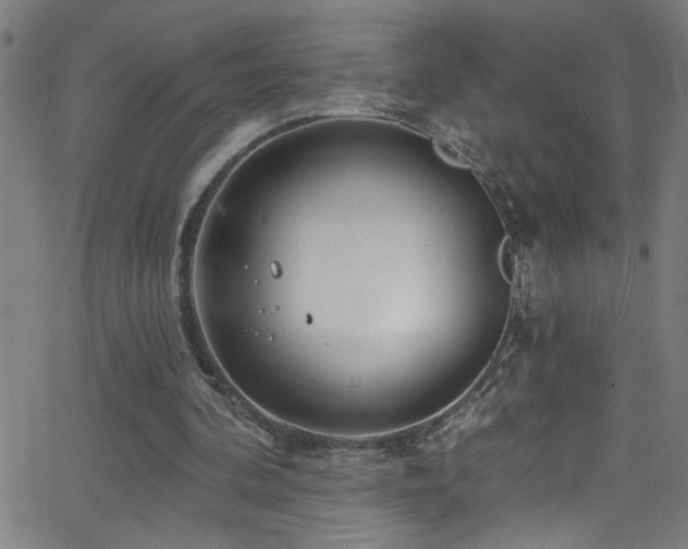 X0000068770292200604281245