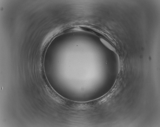 X0000068770293200604281245