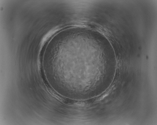 X0000068770294200604281245