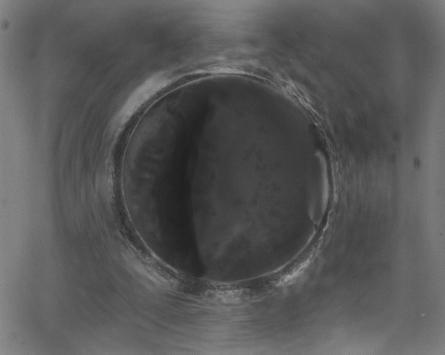 X0000068770295200604281245