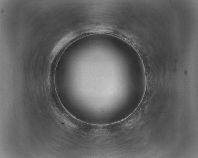 X0000068770296200604281245