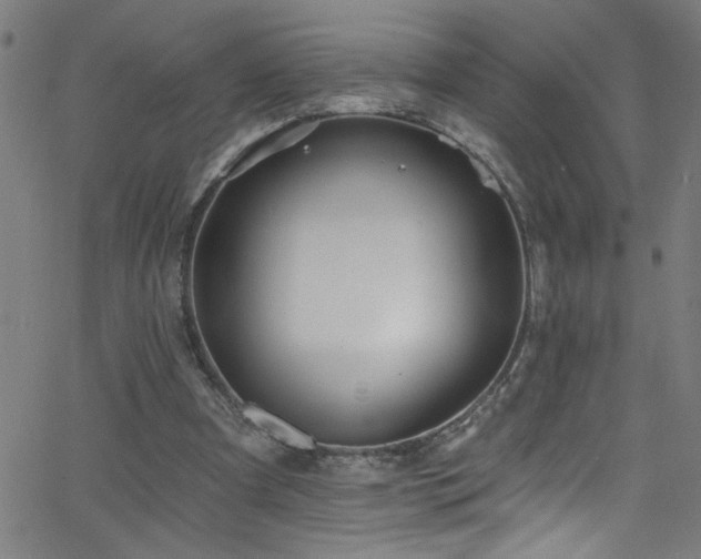 X0000068770297200604281245