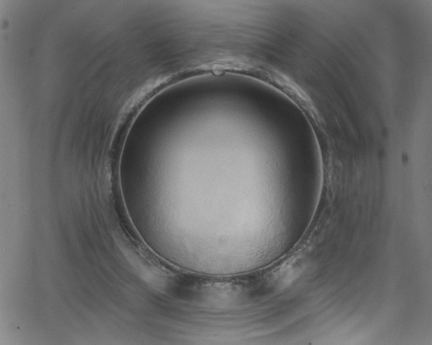 X0000068770298200604281245